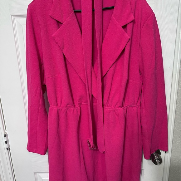 Elegant Fuchsia Long Sleeve Dress - Picture 1 of 2